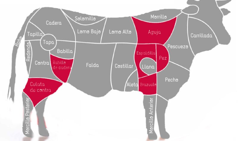 Descubre los secretos de las partes de la vaca en España. | Lo mejor de ...