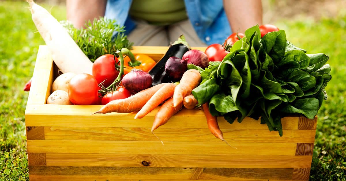 Ventajas de comprar frutas y verduras directamente al agricultor en Madrid: calidad y frescura garantizadas