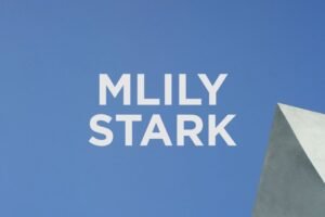 Opiniones del Colchón Mlily Stark: ¿Vale la pena?
